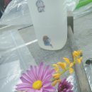 flowers 이미지