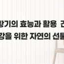 자연의선물 네이버블로그