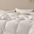 천연패밀리 이미지