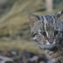 길에서(On The Road) 이미지