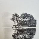 CK치과병원 이미지