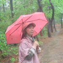비에 젖은 용인 상갈동 숲길, 백남준 아트센터에 간 날....(5.12 후린님 진행) 이미지