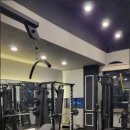 제이미 피티 스튜디오 이미지