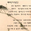 [한시산책] 蟬(선) 매미 - 李相殷(이상은) 이미지