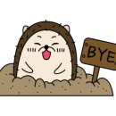 괸돌순두부 이미지