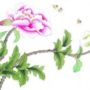필유인 Daum카페