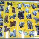 아가펫살롱 이미지