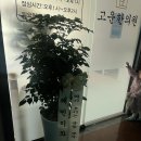 번창한의원 이미지