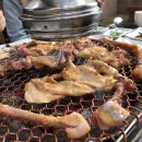 고기울림 이미지