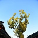 완도 향교 이미지