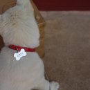 제주불교성지 순례길 절로가는길 - 선정의 길 이미지