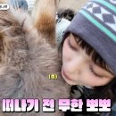 다니엘 농장 이미지