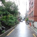 봉제산 무궁화공원 이미지