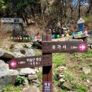 유가사등산로 이미지