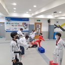 밸런스태권도장 네이버블로그