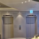 강남피부과의원 | 강남 피부과 : 셀리데이의원 프리미엄 프라이빗 피부과 온다리프팅 추천 후기