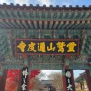 율사 | [케이트의 사선여행] 선덕여왕과 자장율사가 세운 유네스코세계유산, 불보사찰 양산 통도사 이야기