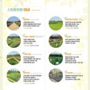 신정호국민관광지 이미지