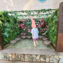 낙원스파랜드 | [부산여행 1박 2일] 2일차, 뜨끈뜨끈한 낙원, 샌텀 스파랜드