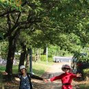 상동호수공원 이미지