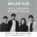 블랙스트링 콘서트 이미지