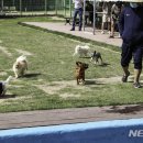 (주)너울정보 이미지