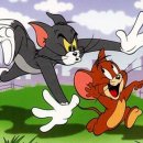 톰과제리 이미지