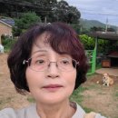 콩이네 이미지