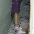 효은농장 이미지