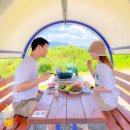 낙동강레포츠밸리 | 낙동강레포츠밸리 당일 캠핑장 이용방법 + 대구 근교 빠지 수상스키