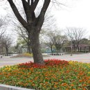 주엽공원 이미지