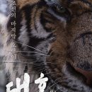 대호