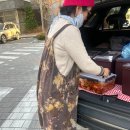 에덴목장 | 아이패드 에어M3(11인치,256G)후기(취향은 경험을 이길 수 없다)