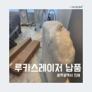 아폴로 메디칼 이미지