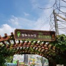 김포평화누리길 1코스 이미지