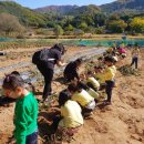 반월어린이집 이미지