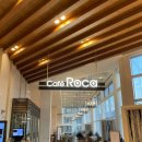 로카와 델피노1 이미지