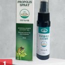 리빙바이원 이미지