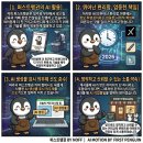 펭귄디자인 컴퍼니