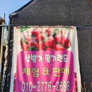 원격대학형태 | 경기 고양시 딸기체험｜주말 아이와 실내체험 삼방가 딸기랜드 솔직 후기 (주차·입장료)