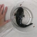 진해통상 | 1월 인도네시아 수입 후기