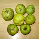 죽장휴게소 이미지