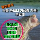 여름철 조심할음식 이미지