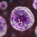 제닉스바이오 이미지