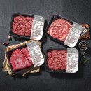 양지2호 이미지