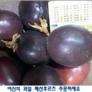 궁한옥민박 이미지