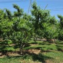 승주농장 이미지