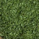 소로3-25 이미지