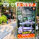 캠핑의 성지 영월 선착순 두번째 솔밭캠핑장