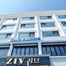 ZIV지브 이미지